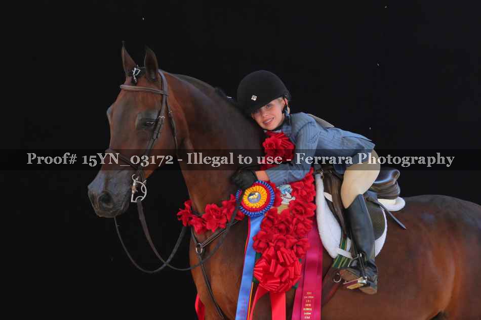 Proof 15YN_03172