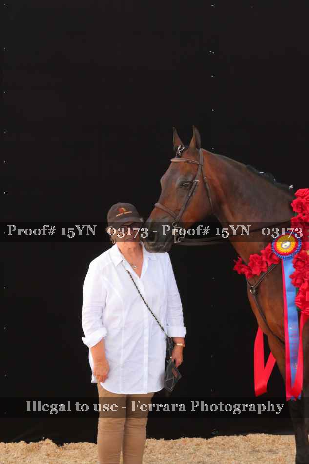 Proof 15YN_03173