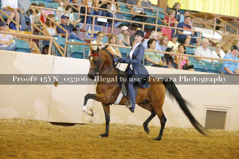 Proof 15YN_03306
