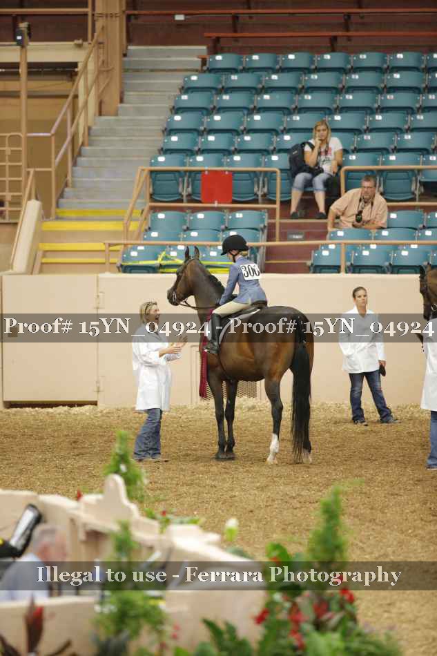 Proof 15YN_04924