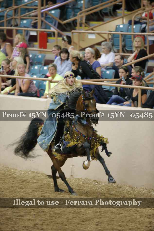 Proof 15YN_05485