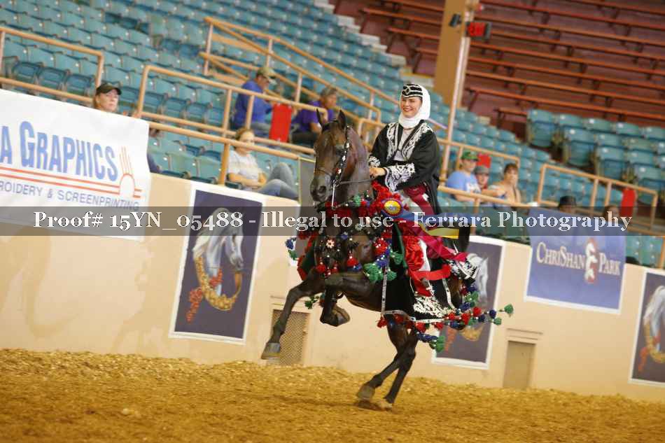 Proof 15YN_05488