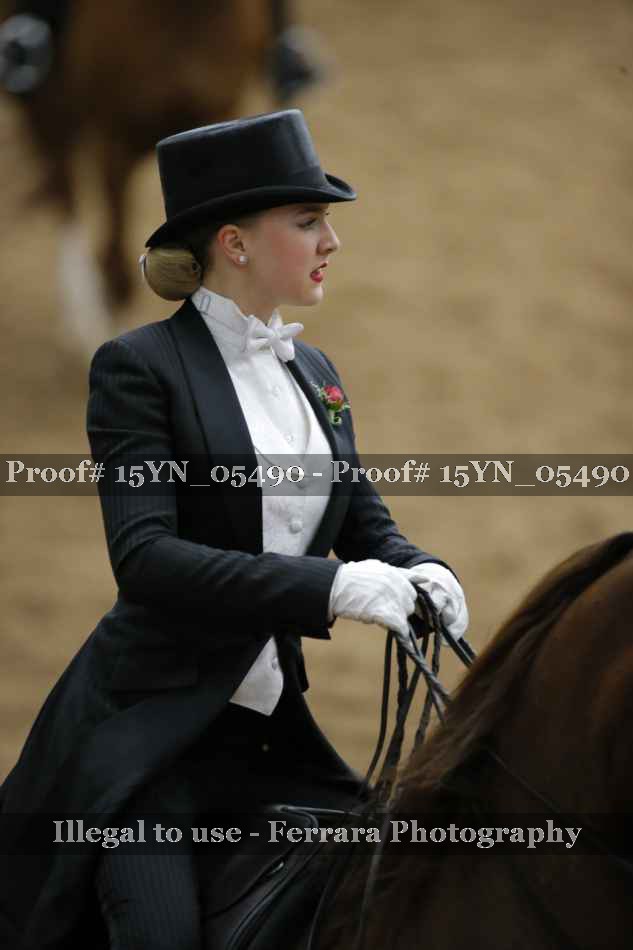 Proof 15YN_05490