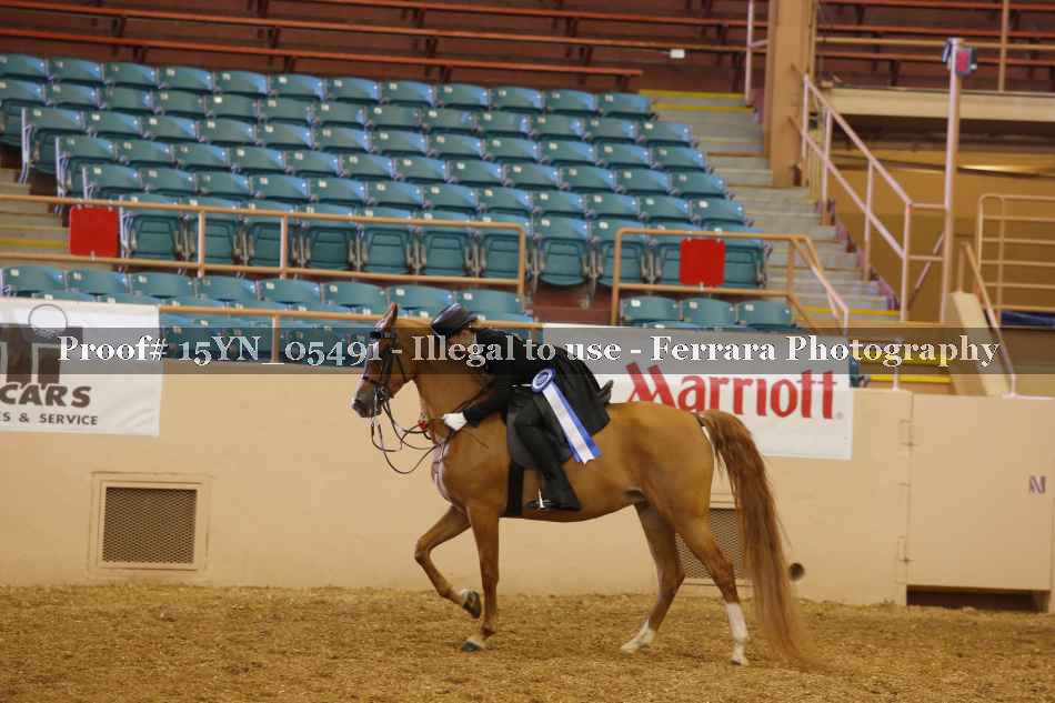 Proof 15YN_05491