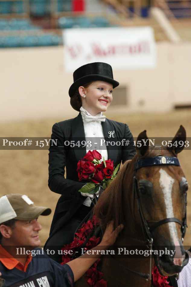 Proof 15YN_05493