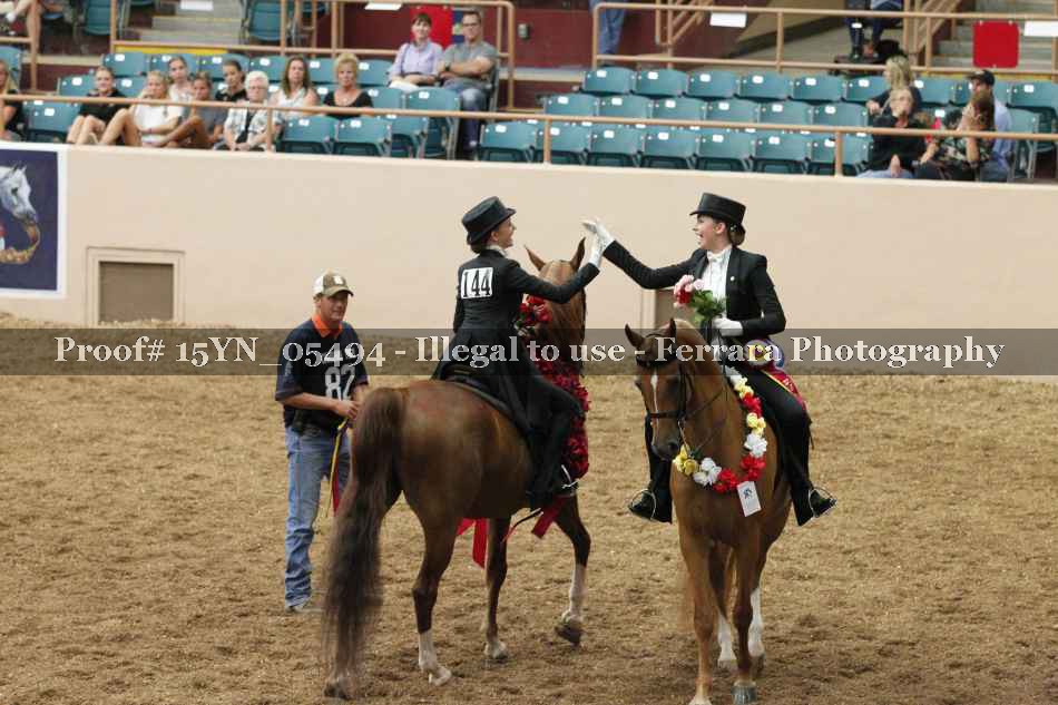 Proof 15YN_05494