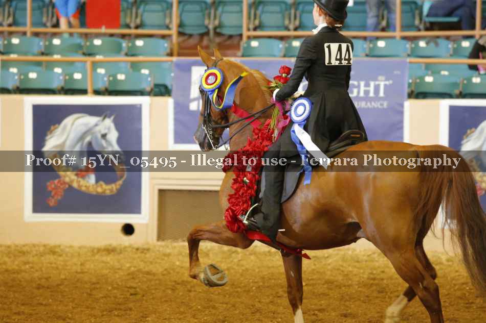 Proof 15YN_05495