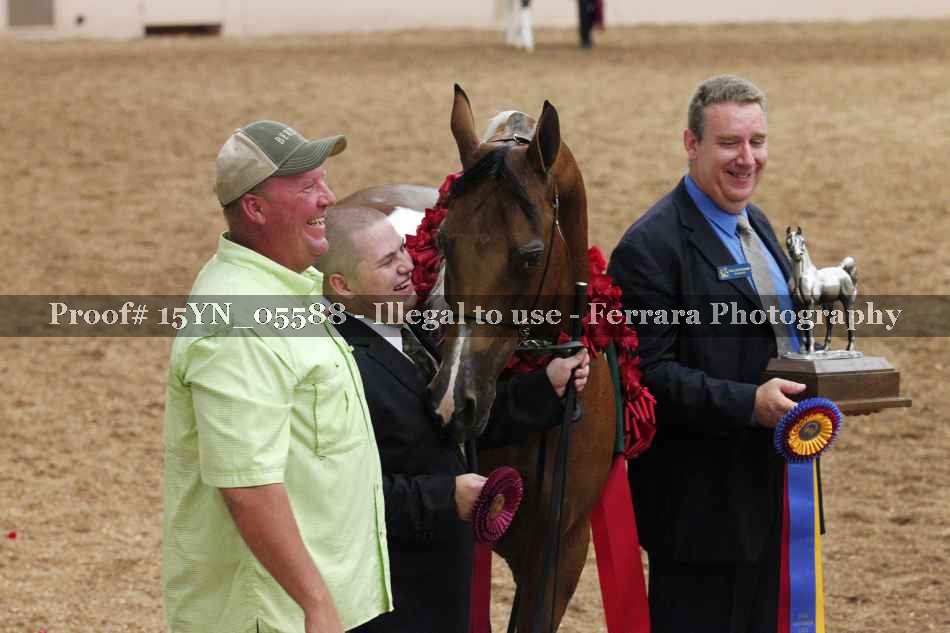 Proof 15YN_05588