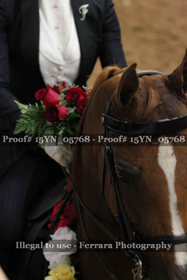 Proof 15YN_05768