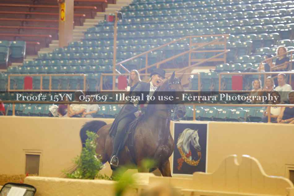 Proof 15YN_05769