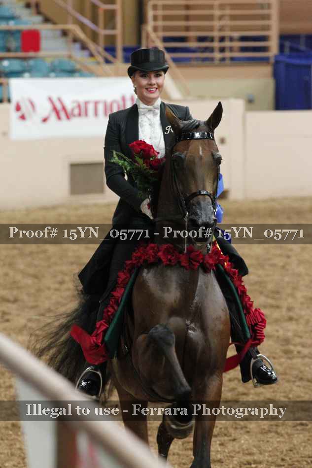 Proof 15YN_05771