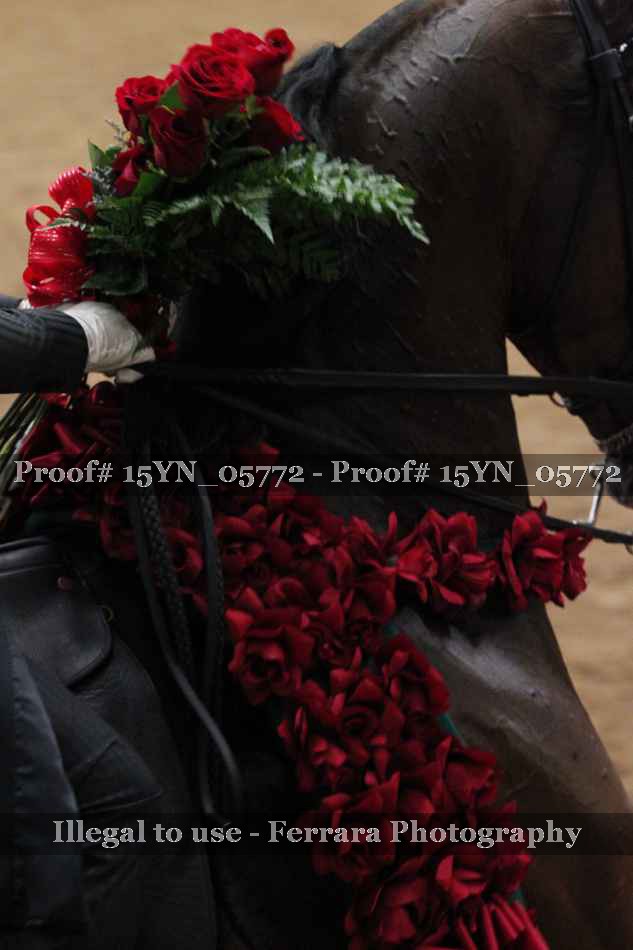 Proof 15YN_05772