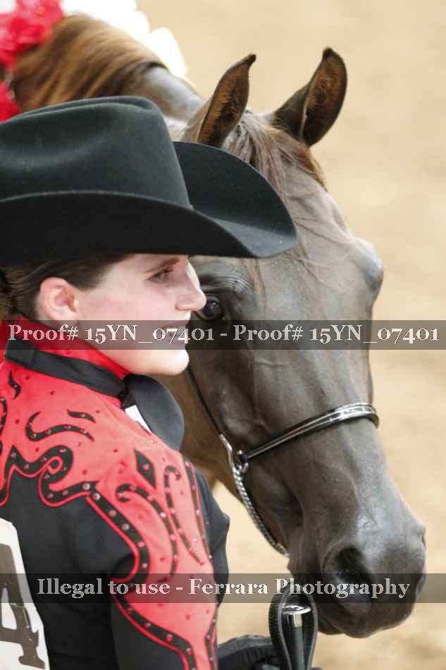 Proof 15YN_07401