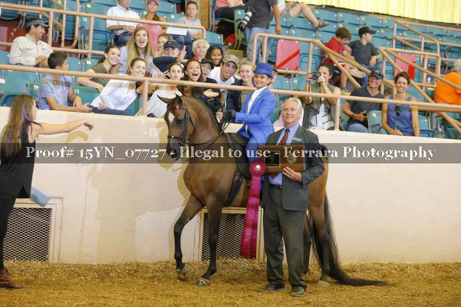 Proof 15YN_07727