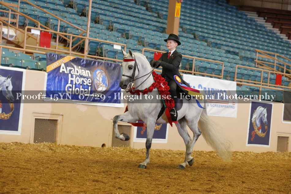 Proof 15YN_07729