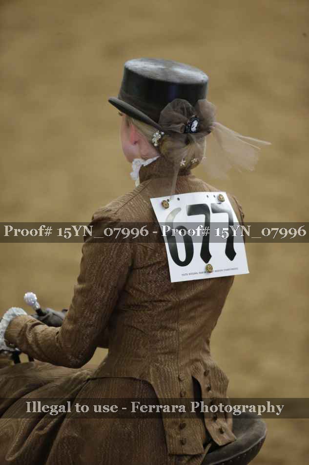 Proof 15YN_07996