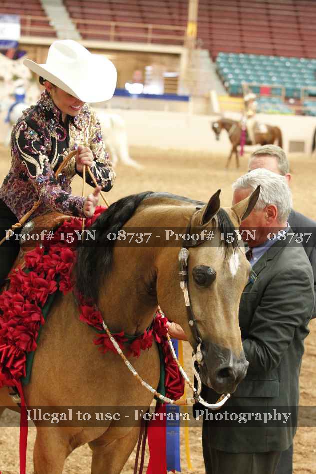 Proof 15YN_08737