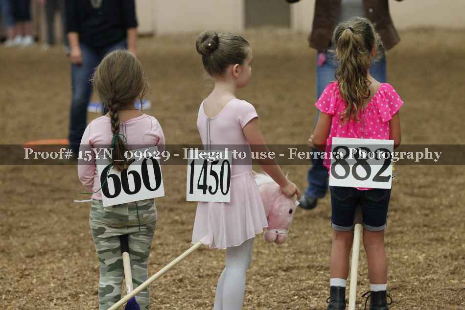 Proof 15YN_09629