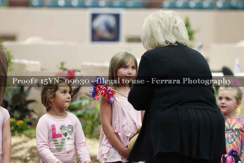 Proof 15YN_09630