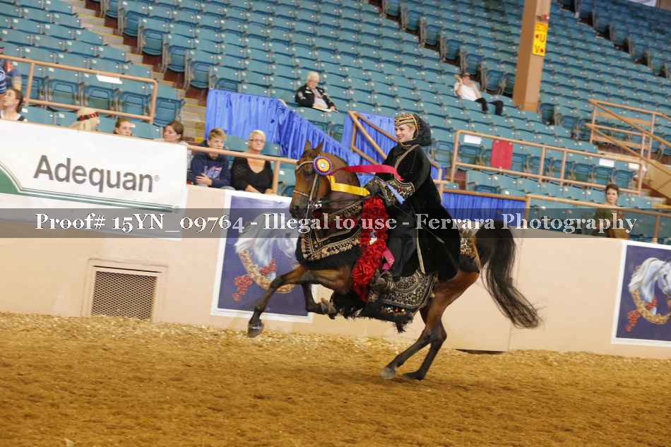 Proof 15YN_09764