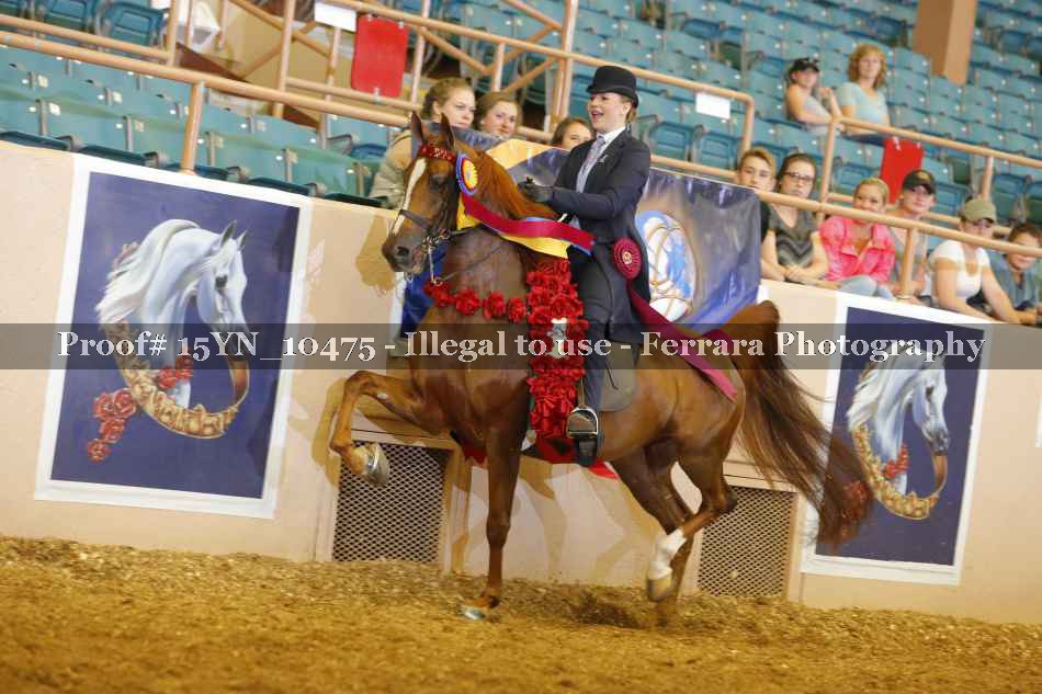 Proof 15YN_10475