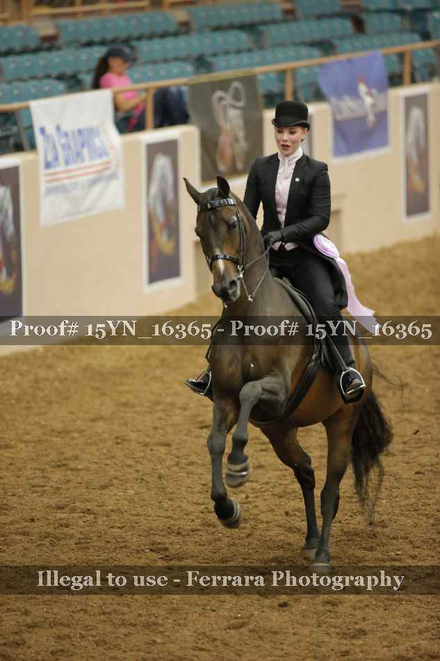 Proof 15YN_16365