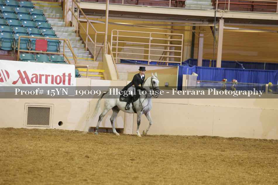 Proof 15YN_19009