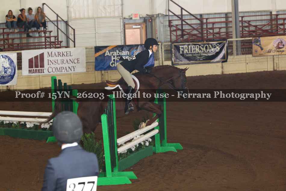 Proof 15YN_26203