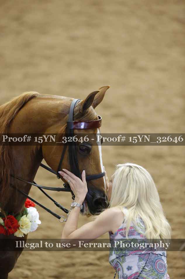 Proof 15YN_32646
