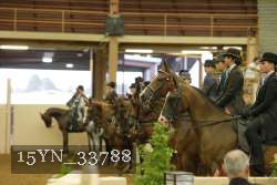 15YN_33788 proof