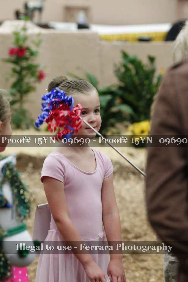Proof 15YN_09690