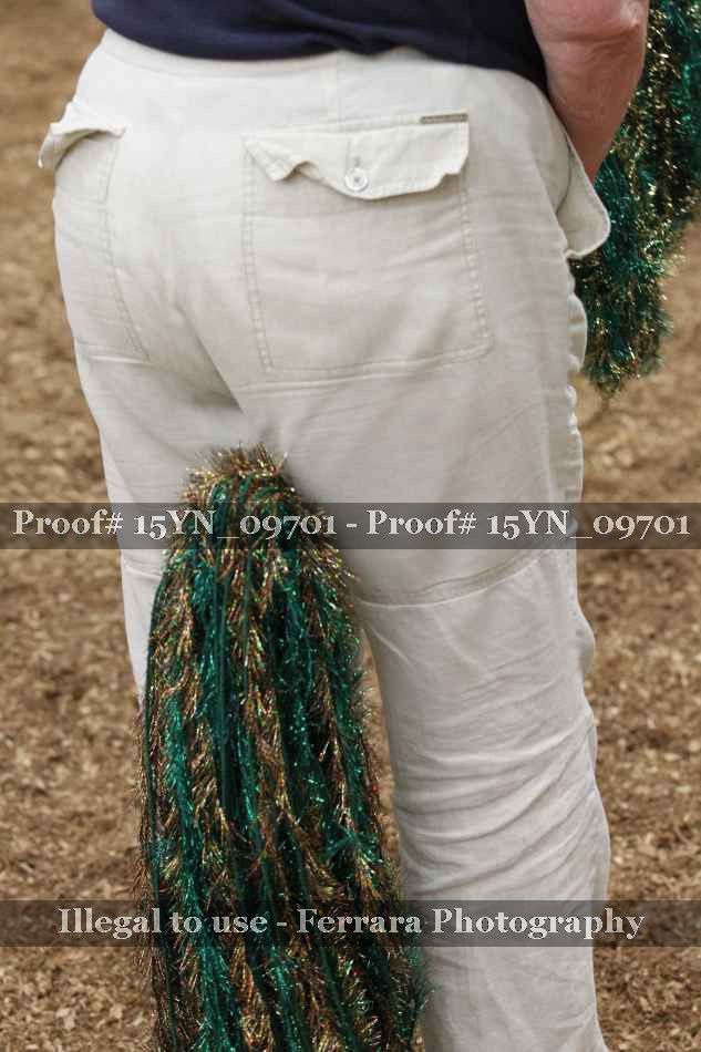 Proof 15YN_09701