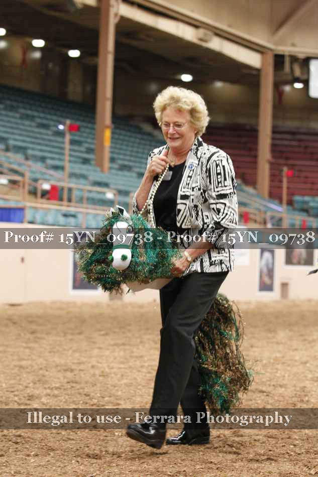 Proof 15YN_09738
