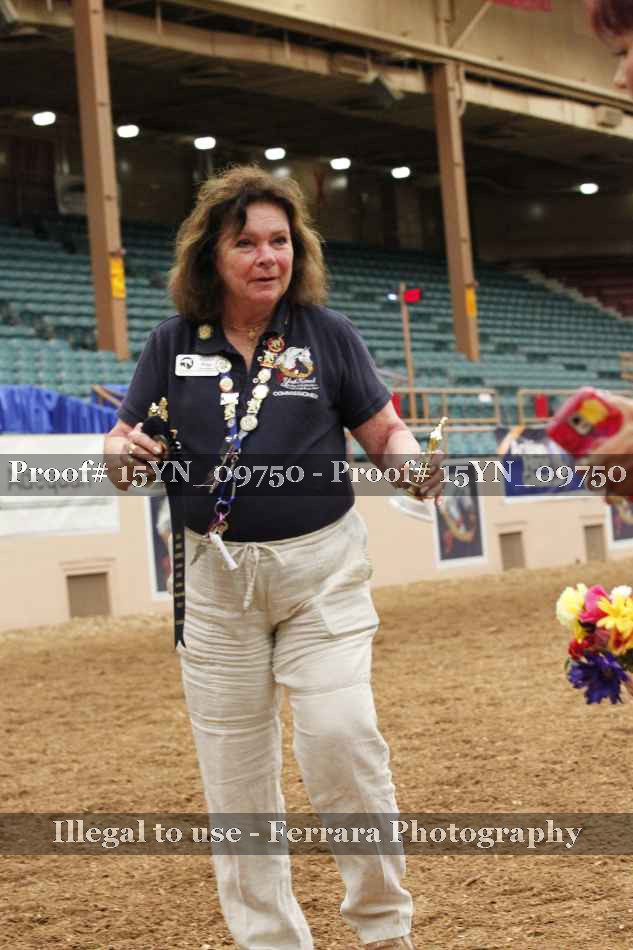 Proof 15YN_09750