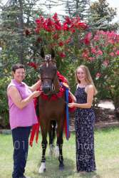 17YN_1905 proof