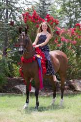 17YN_1914 proof