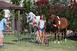 17YN_3768 proof