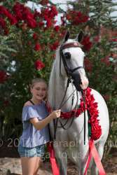 17YN_0090 proof