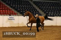 18BUCK_00199 proof