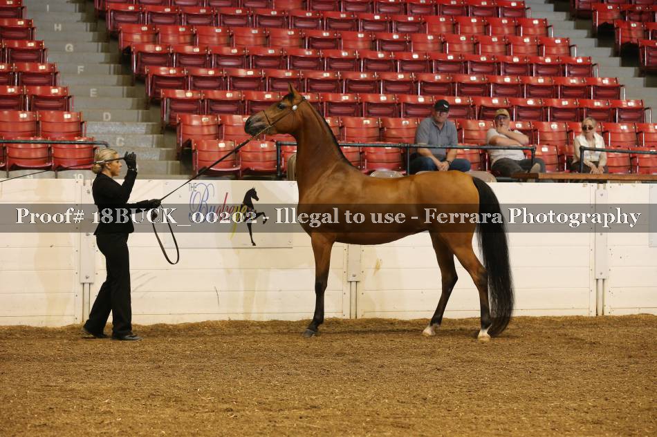 Proof 18BUCK_00202