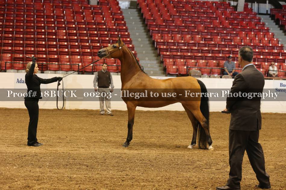 Proof 18BUCK_00203