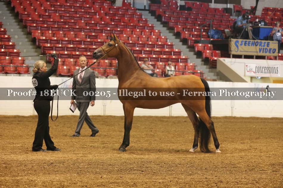 Proof 18BUCK_00205