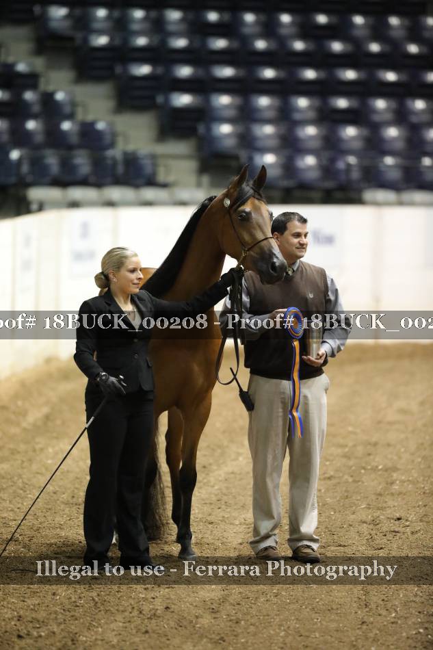 Proof 18BUCK_00208