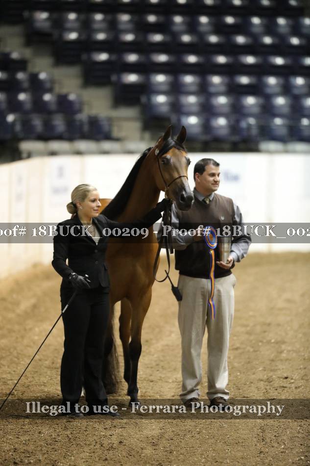 Proof 18BUCK_00209