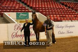 18BUCK_00210 proof