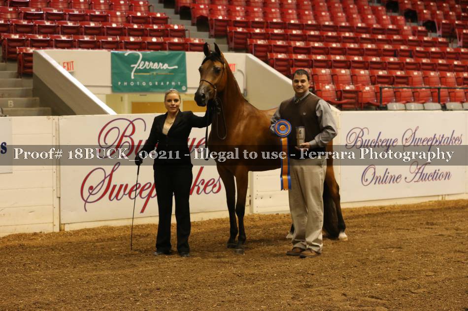 Proof 18BUCK_00211