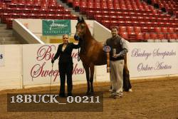 18BUCK_00211 proof