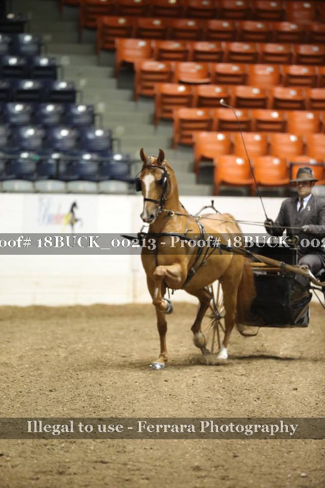 Proof 18BUCK_00213