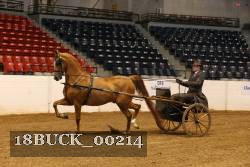 18BUCK_00214 proof