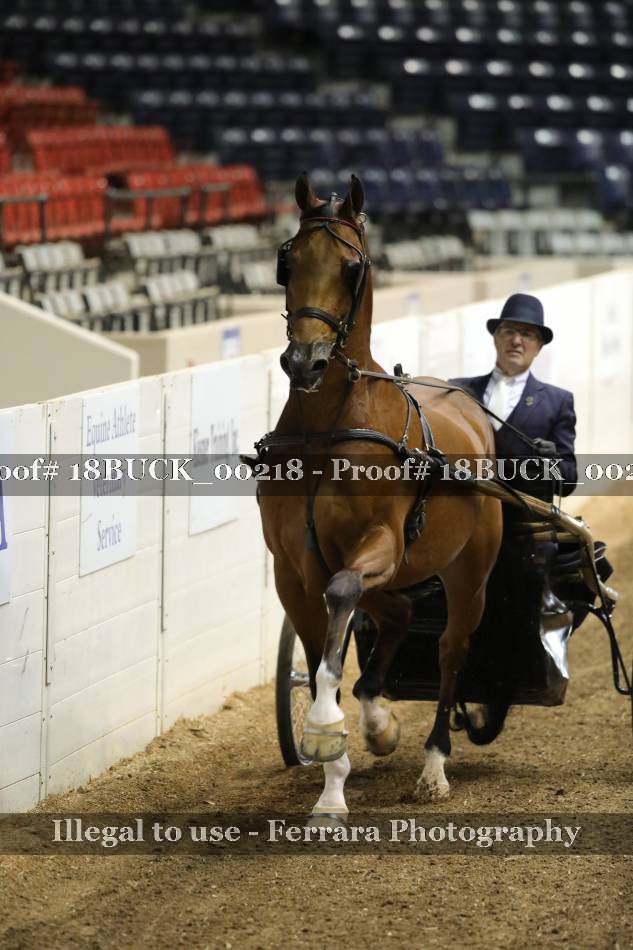Proof 18BUCK_00218